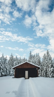 A cozy wooden cabin nestled among snow-dusted spruce trees under a clear blue sky.