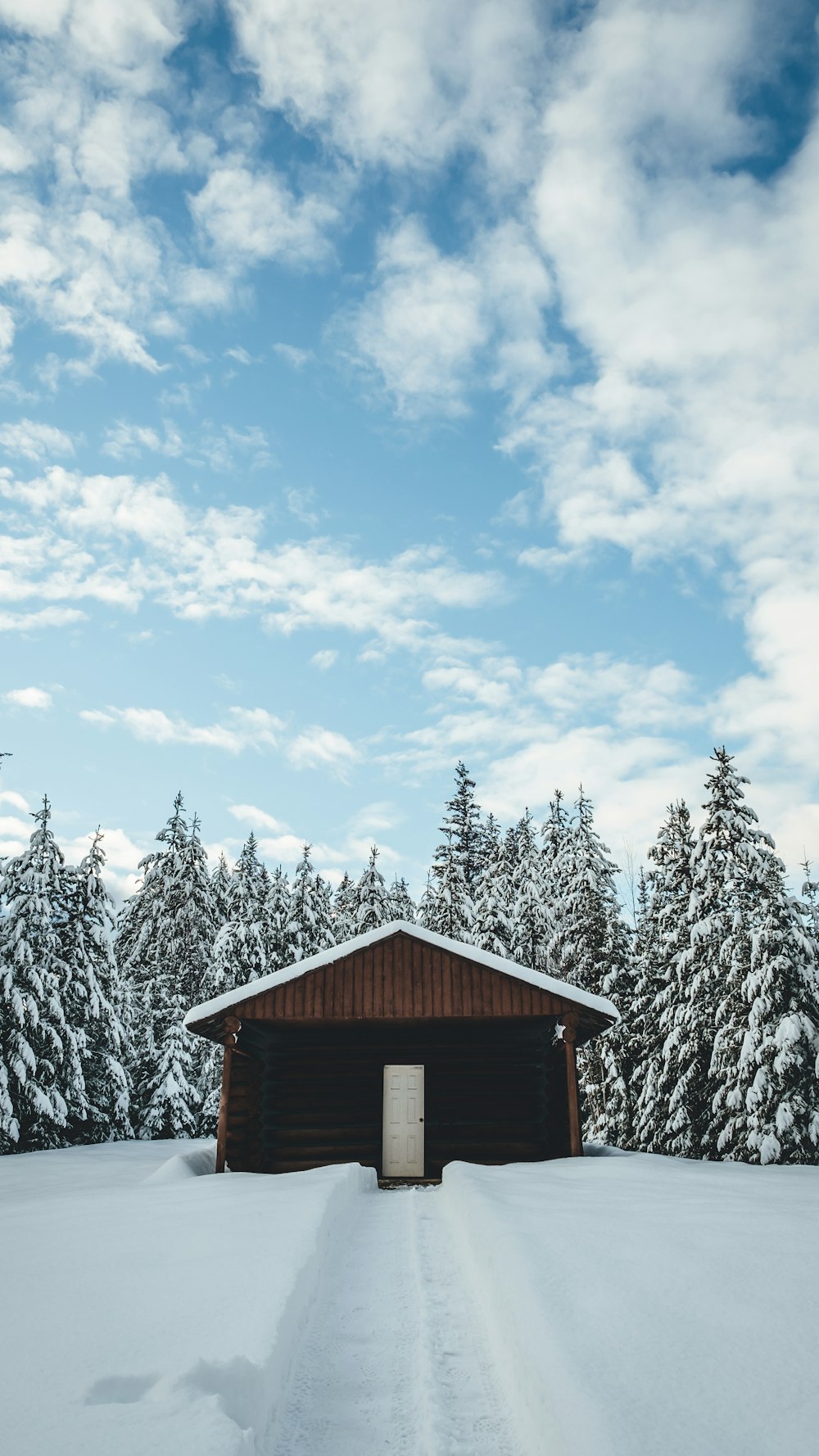 木々と雪に囲まれた茶色の1階建ての家