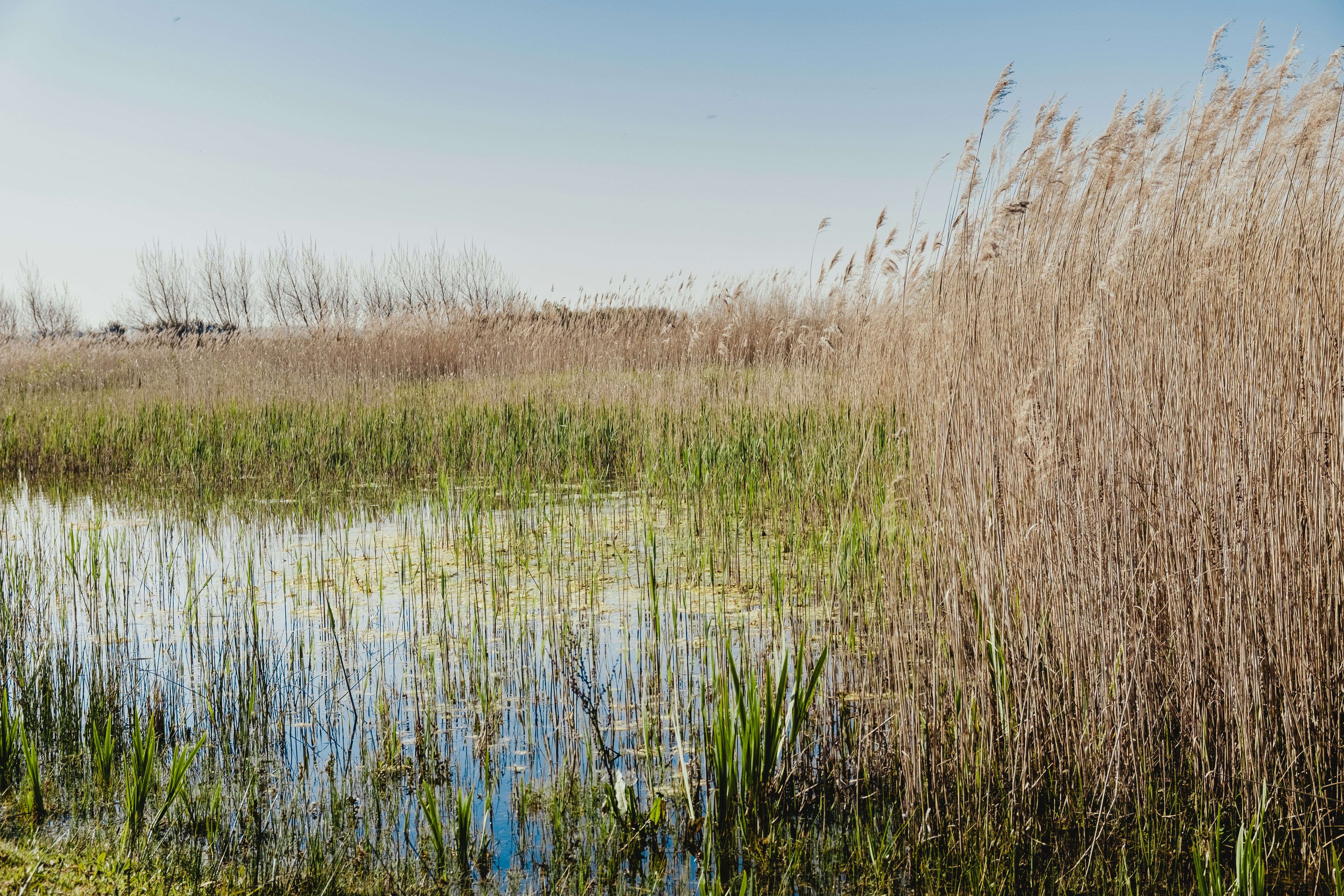 Photo by bernardhermant