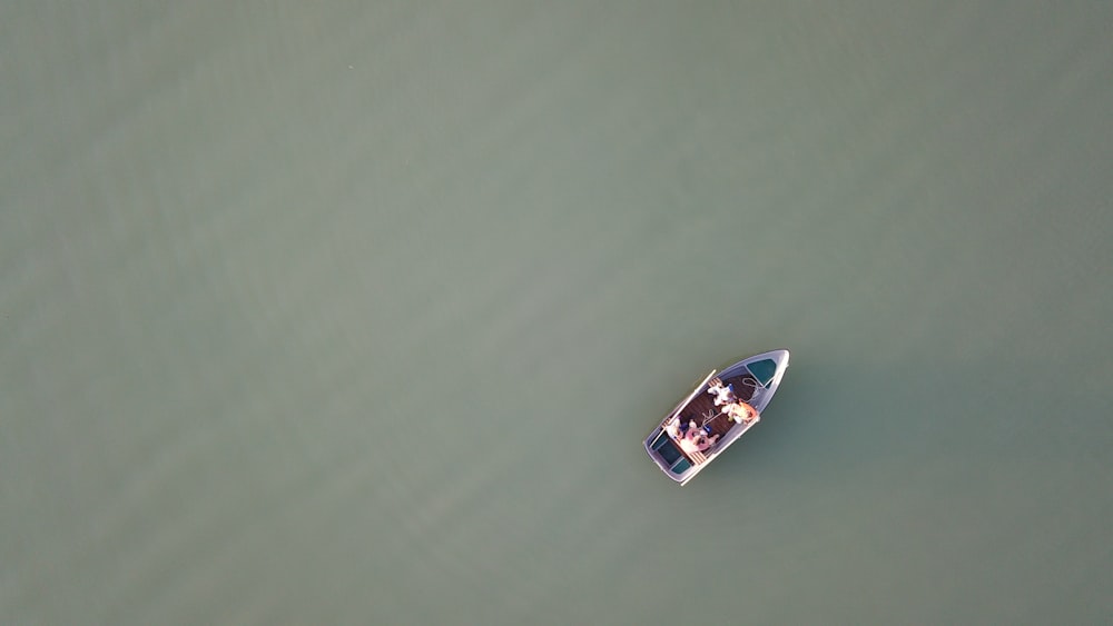 boat on caml water