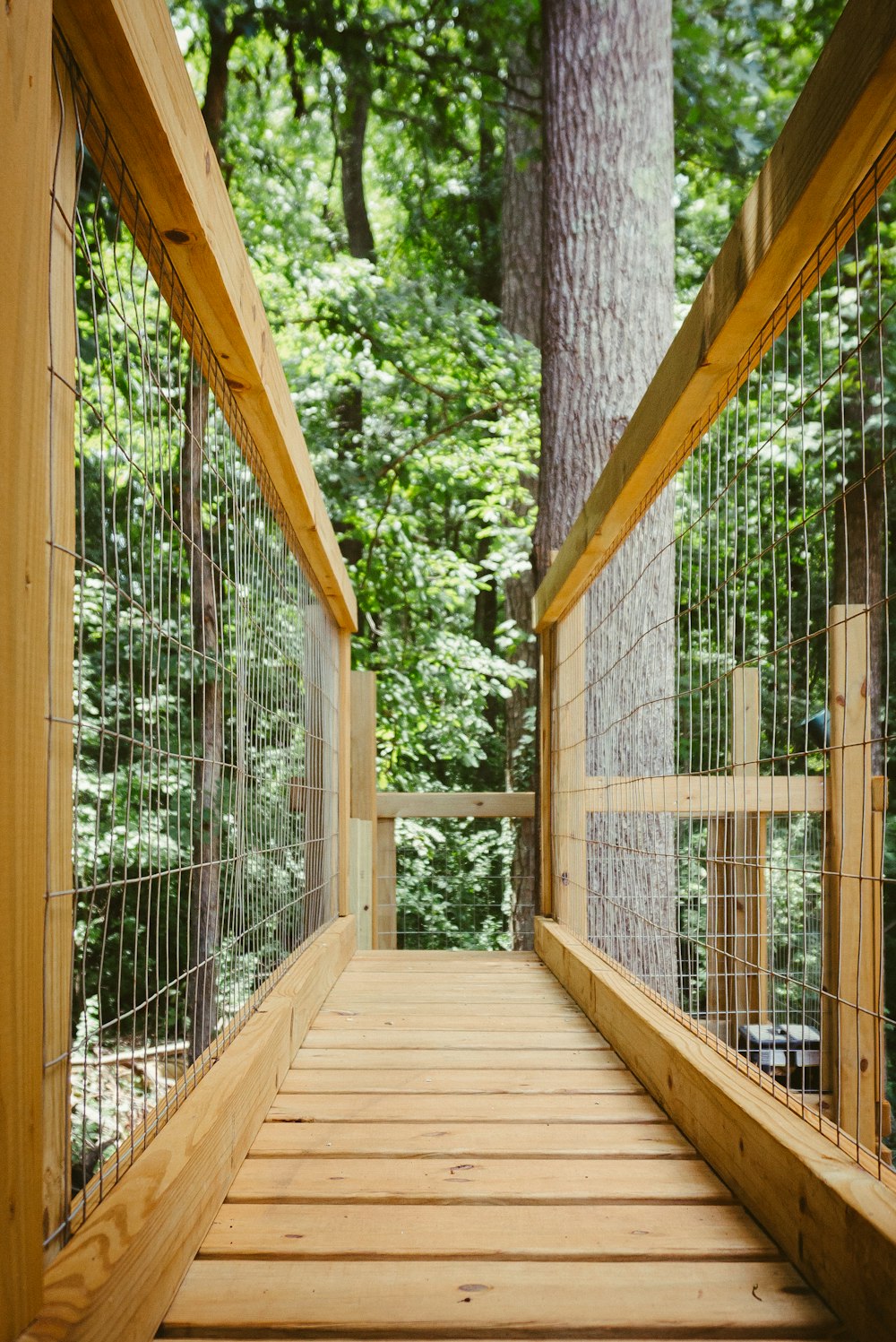 brown wooden bridge