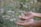 Close-up of hands gently holding a blooming flower symbolizing growth and healing.