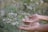 Close-up of hands gently holding a blooming flower symbolizing growth and healing.