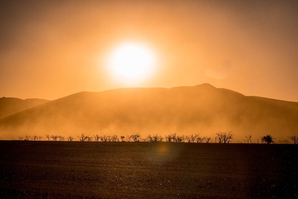 bare trees near mountain under orange skies