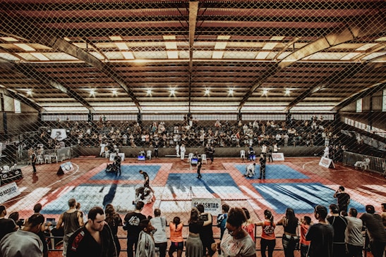 A large indoor arena with a high ceiling, filled with an audience seated on bleachers. In the center, two fighters are engaged in a martial arts competition on blue and red mats. The scene is captured through a mesh fence, adding a textured foreground.