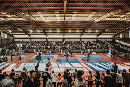 A large indoor arena with a high ceiling, filled with an audience seated on bleachers. In the center, two fighters are engaged in a martial arts competition on blue and red mats. The scene is captured through a mesh fence, adding a textured foreground.
