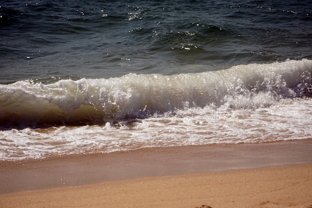 sea waves on shore