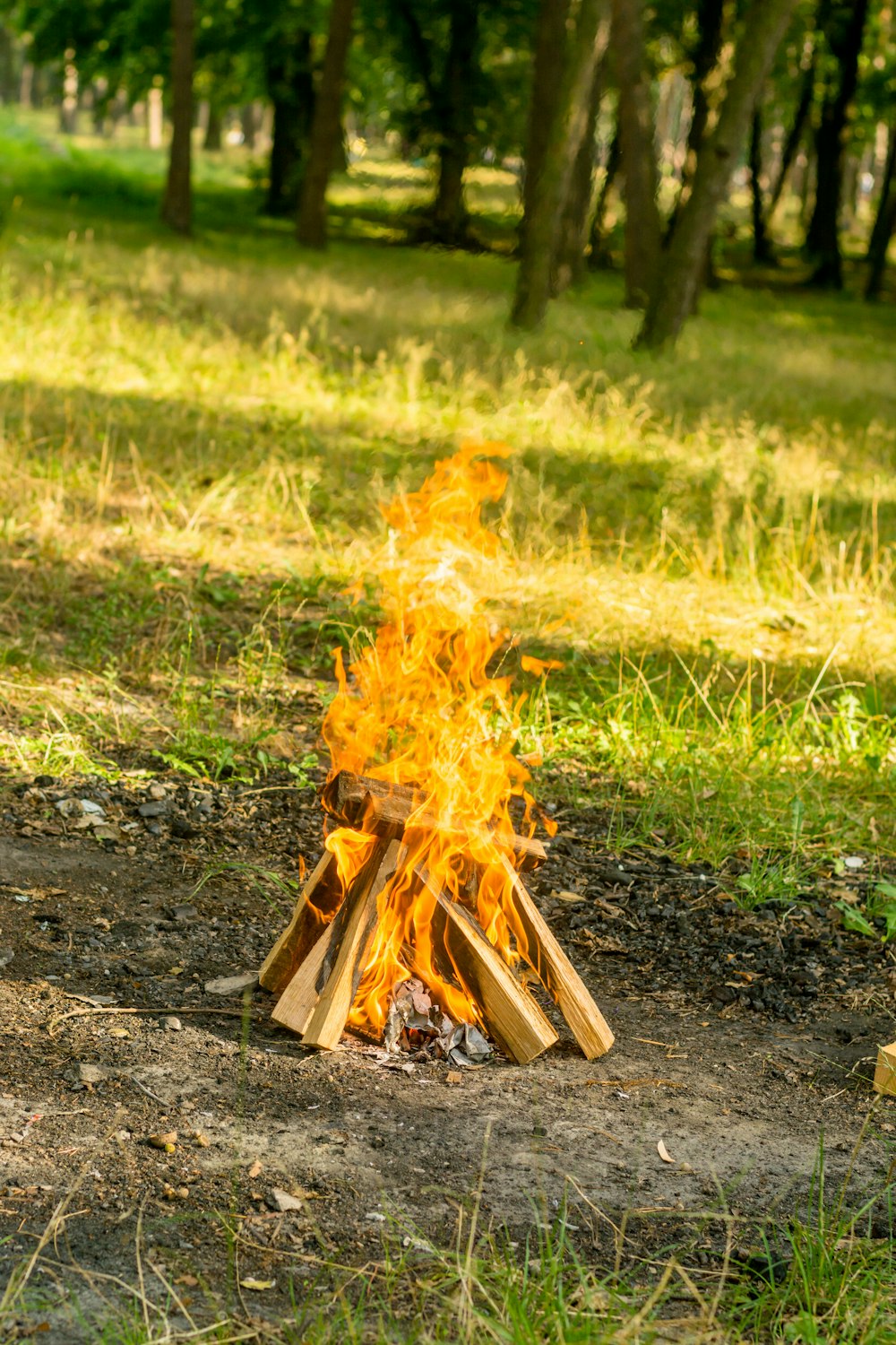 bonfire photo