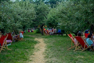 A serene outdoor setting with a path leading through a grove of trees, surrounded by numerous red deck chairs occupied by people. Some individuals are engaged in conversation or relaxing, creating a communal and laid-back atmosphere.