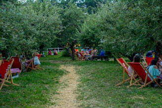 A serene outdoor setting where a small group is engaged in a themed live journey experience.