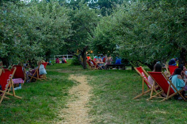 A warm community gathering under tall trees in a peaceful garden space designed for wellness and learning.