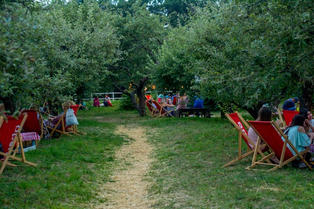 A serene outdoor setting with a path leading through a grove of trees, surrounded by numerous red deck chairs occupied by people. Some individuals are engaged in conversation or relaxing, creating a communal and laid-back atmosphere.