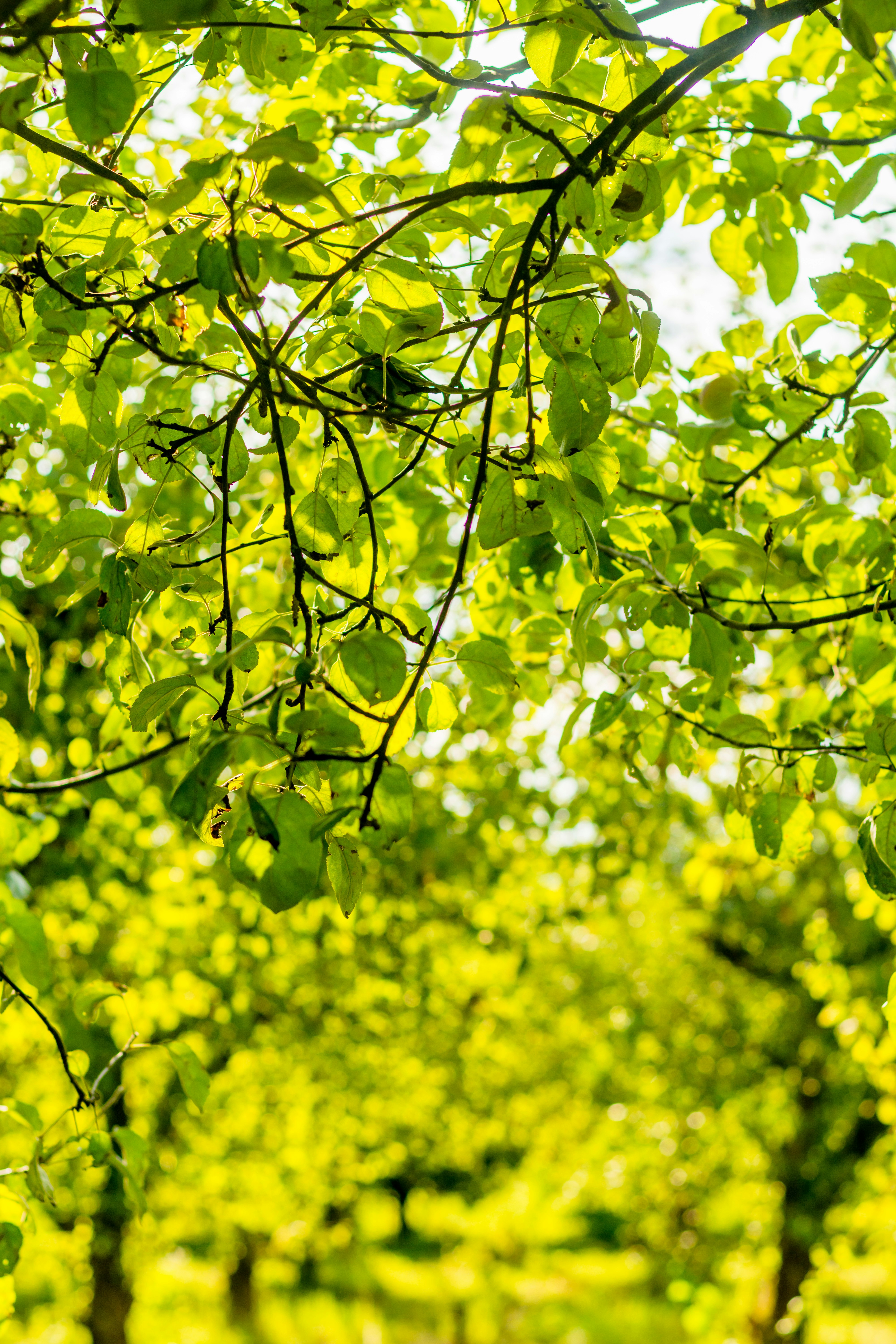 Photo by eugenivy_now