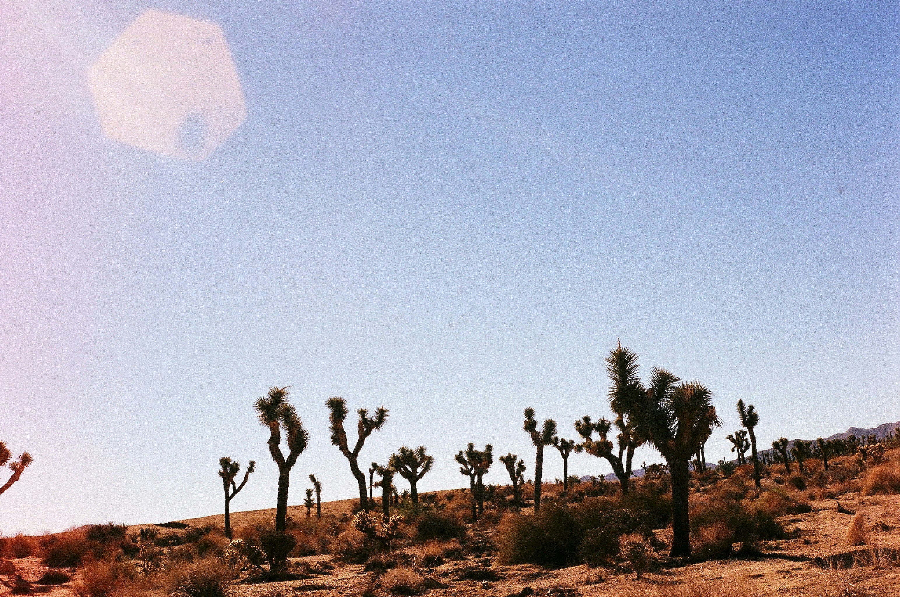 Photo by bhoogenboom