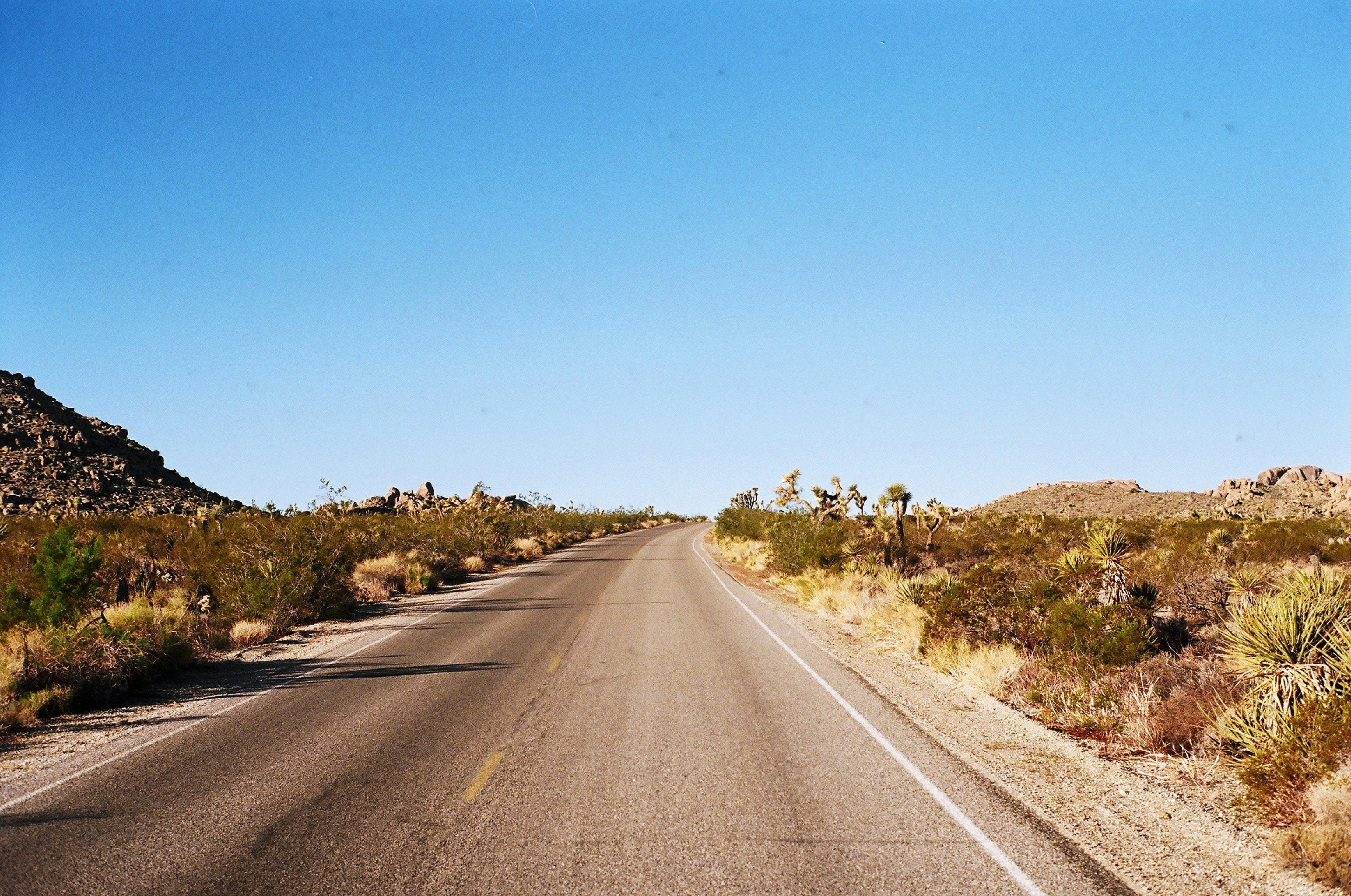 Photo by bhoogenboom