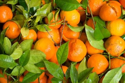 A pile of bright orange tangerines with vibrant green leaves interspersed among them. The fruit appears fresh and ripe, with some showing slight blemishes and imperfections. The scene is natural and colorful, suggesting a fresh harvest.