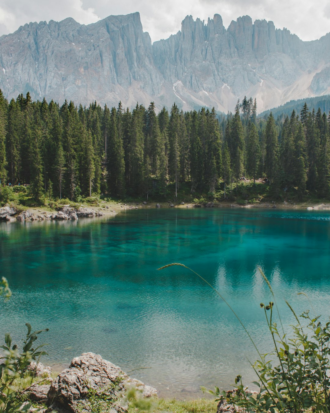 lake with trees on sides