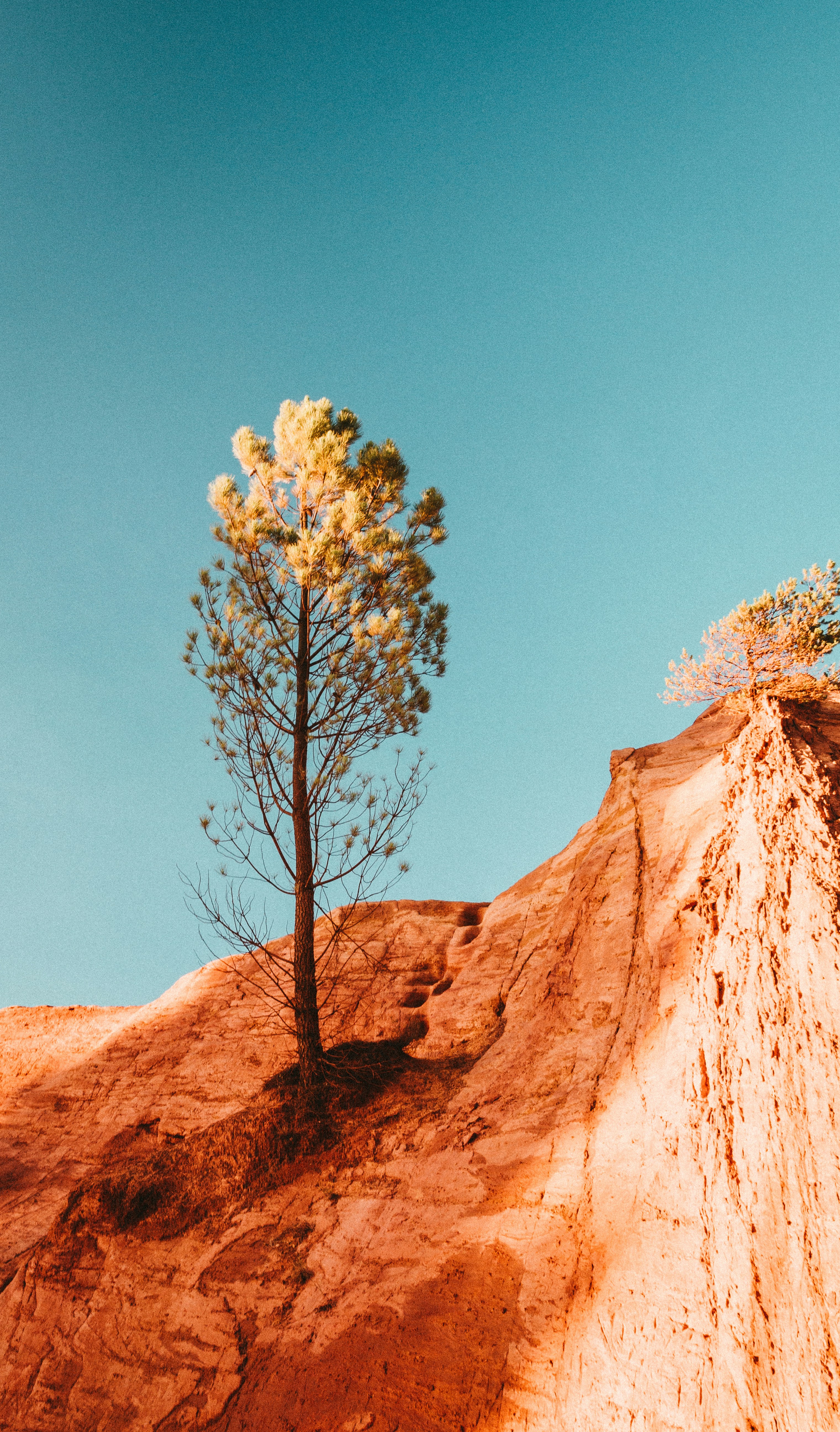 Photo by yan_berthemy_photography