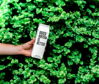 person holding boxed water is better box near shrubs