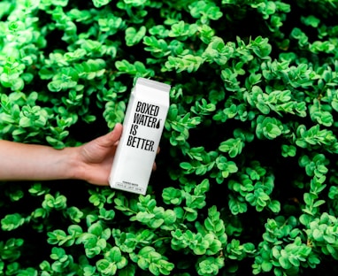 person holding boxed water is better box near shrubs