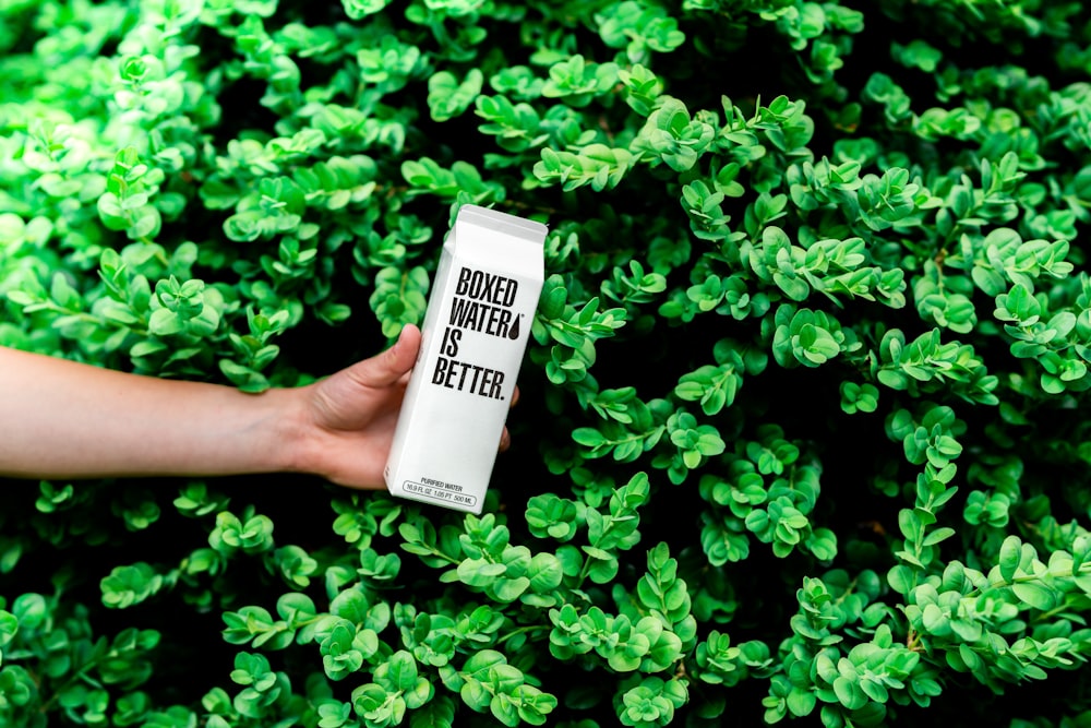 person holding boxed water is better box near shrubs