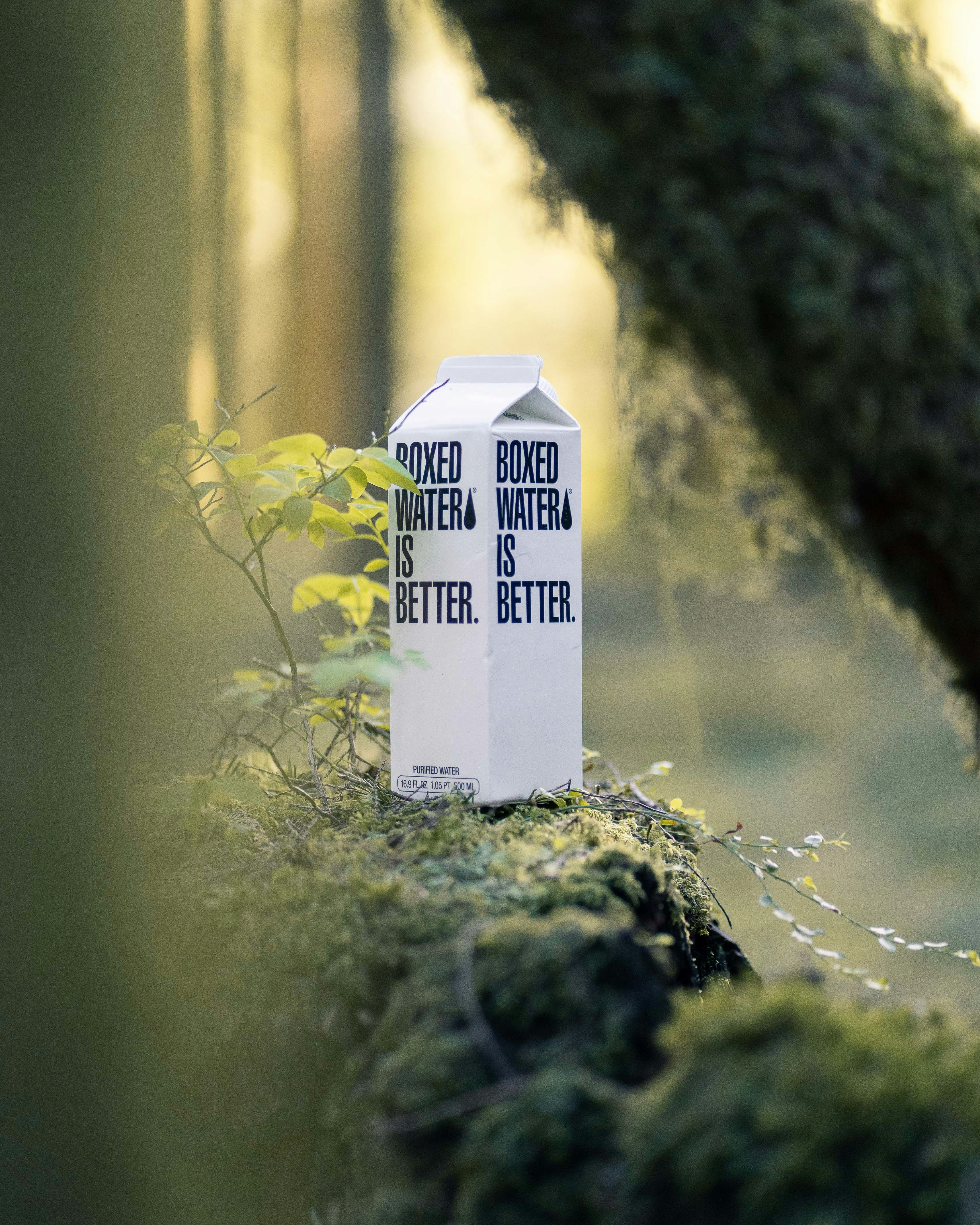 Eco-Friendly Lifestyle Products