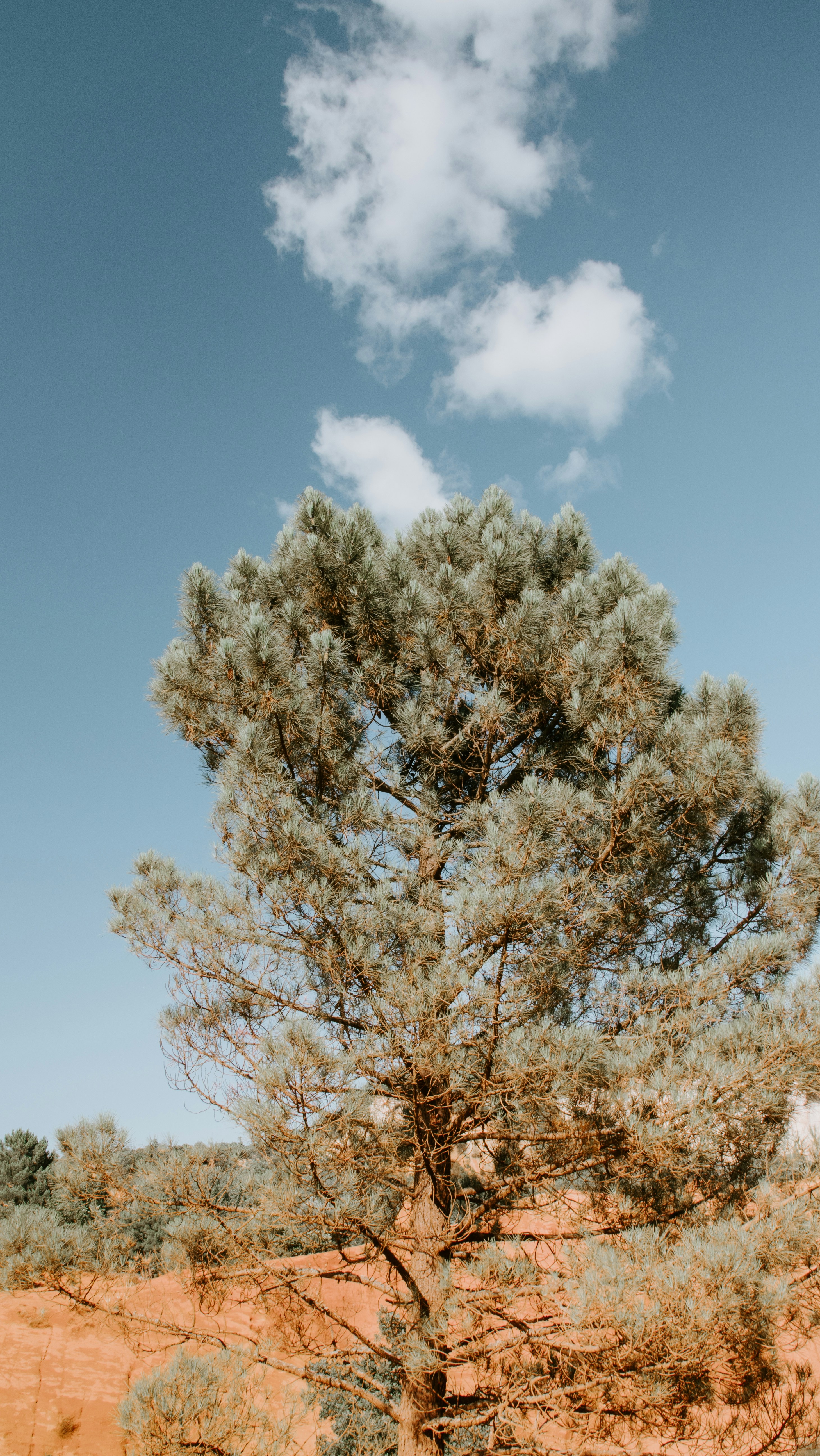 Photo by yan_berthemy_photography