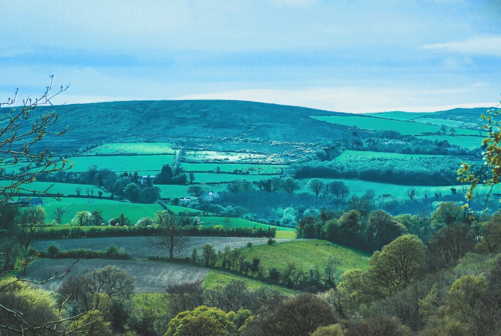 a painting of a green landscape with rolling hills