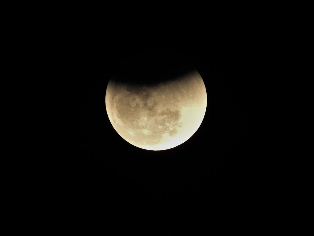 full moon during night