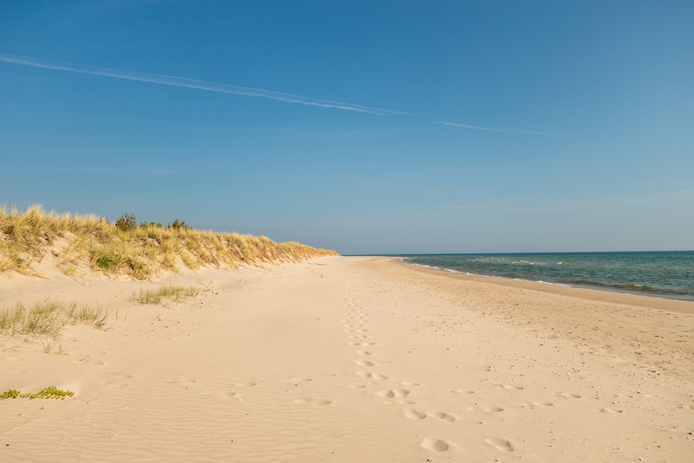 a sandy beach next to the ocean under a blue sky