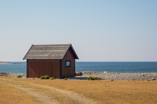 brown house near shore in Fårö Sweden