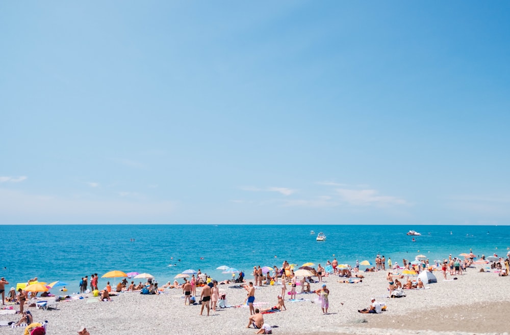 people standing at the shore during daytime