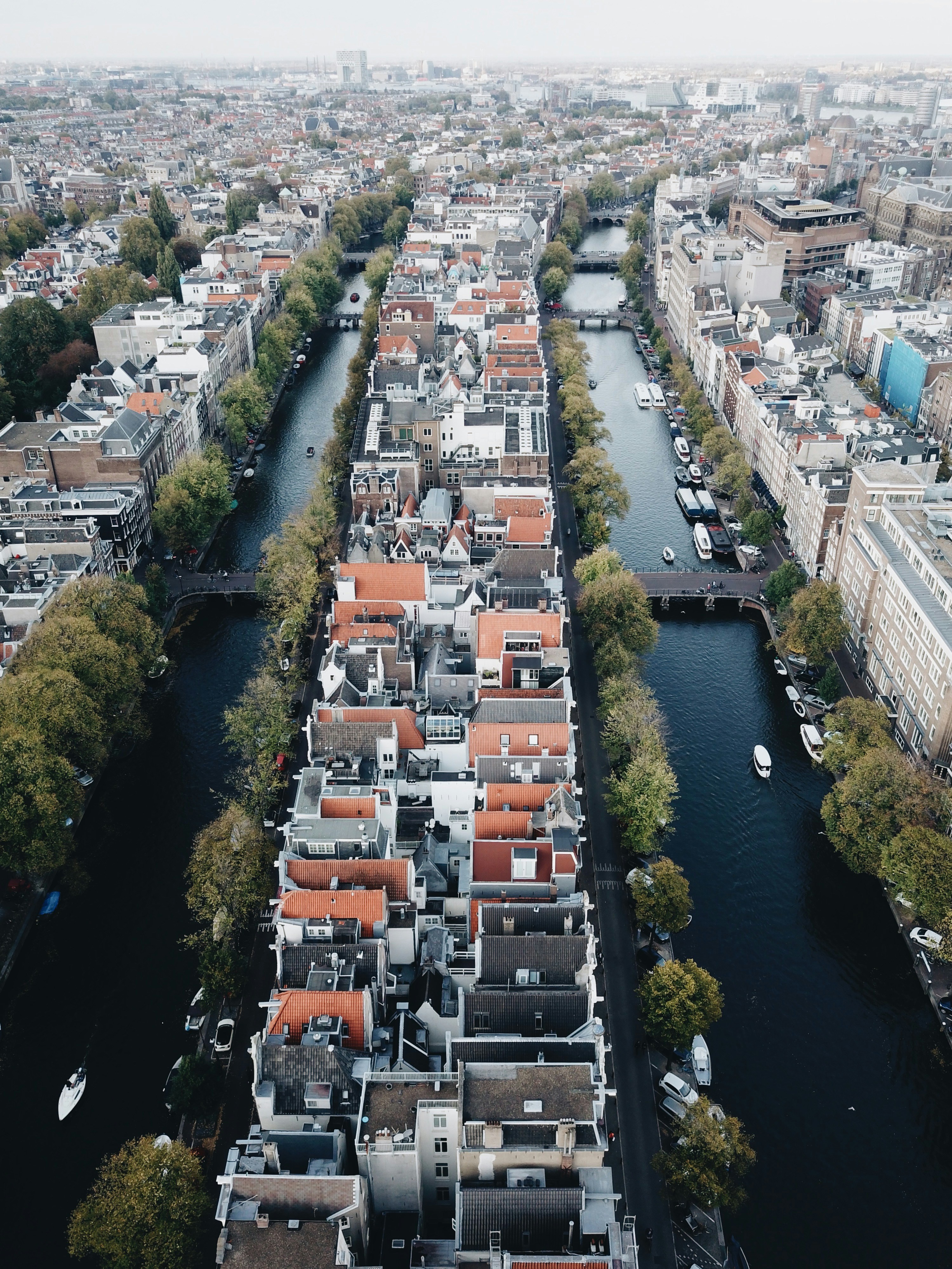 aerial photo of houses