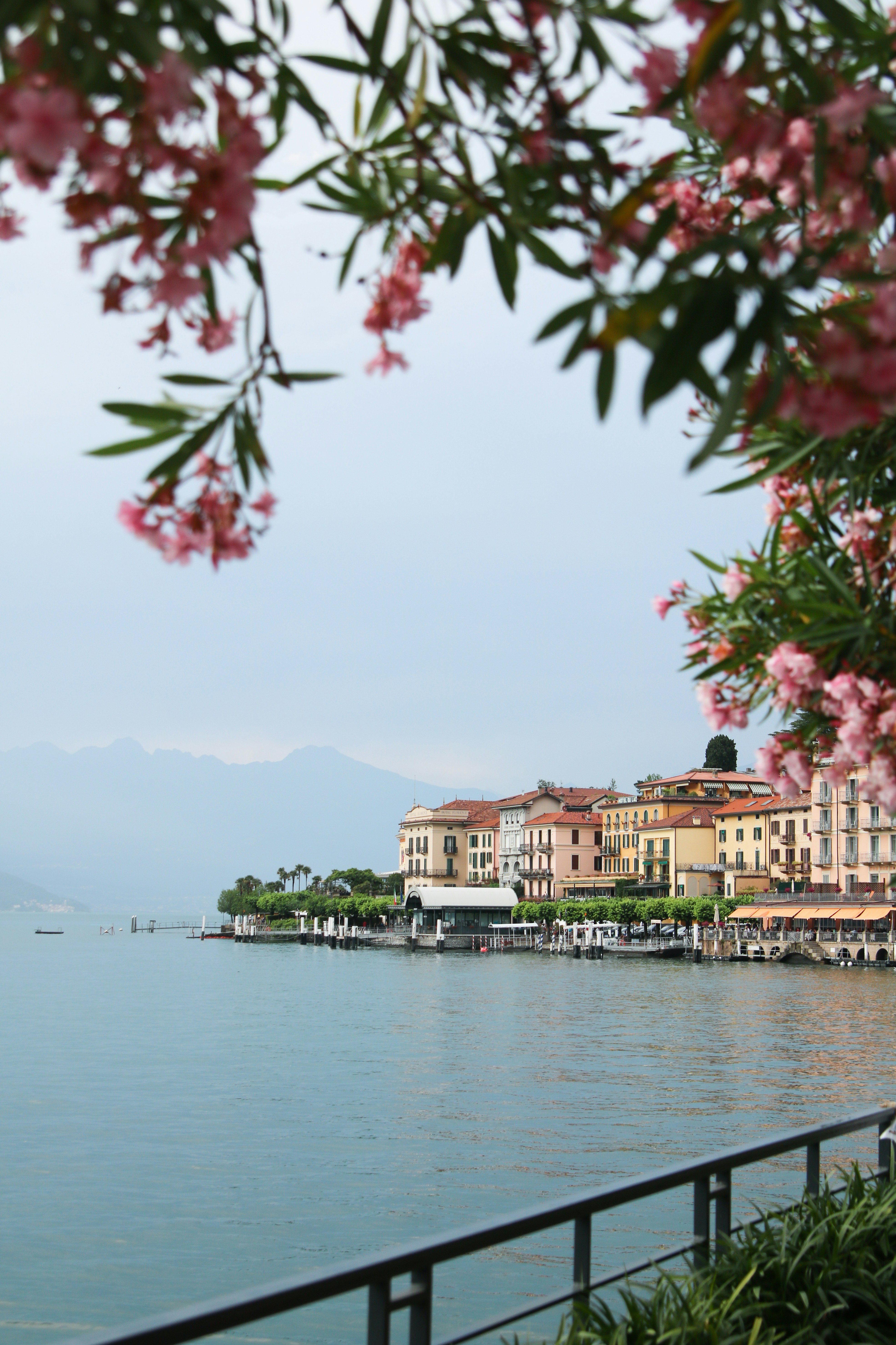 Photo by christinaamba