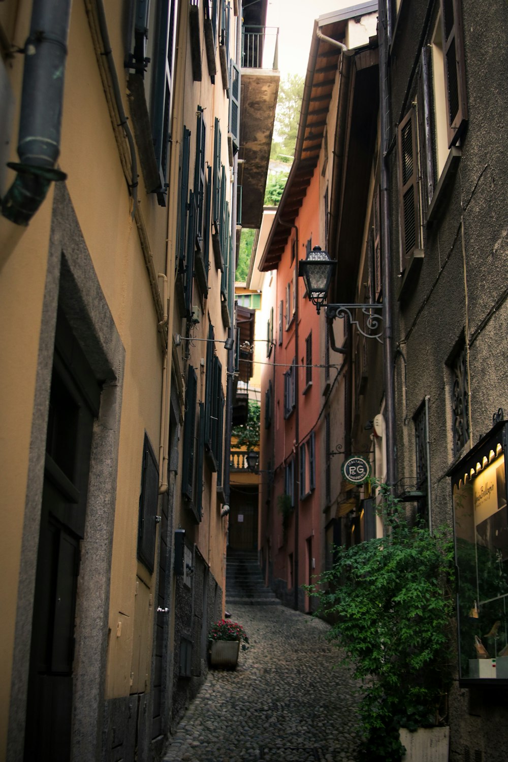 empty walkway surrounded with buildings