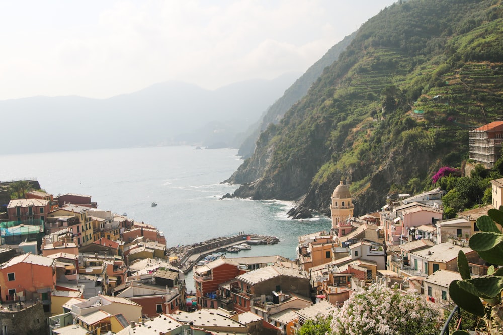 aerial photography of houses near sea