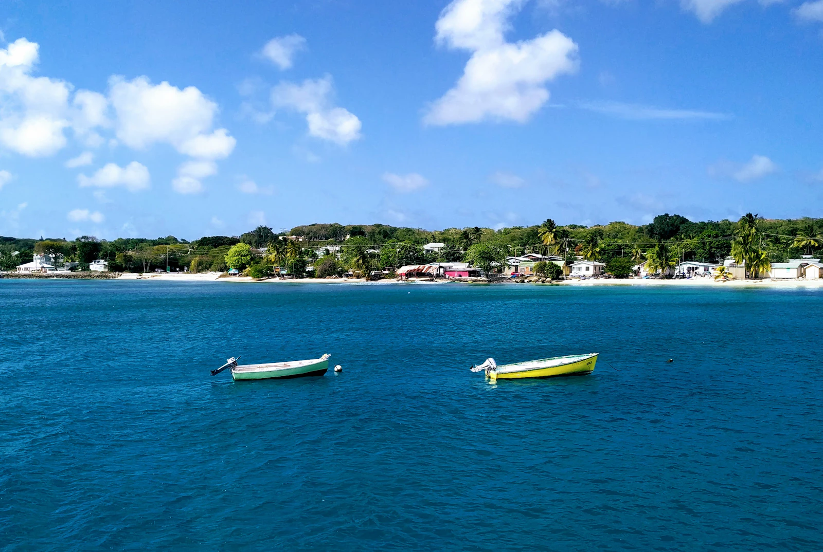 Small fishing boats moored in a quiet Caribbean harbour with hillside houses in the background