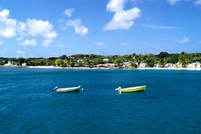 Small fishing boats moored in a quiet Caribbean harbour with hillside houses in the background