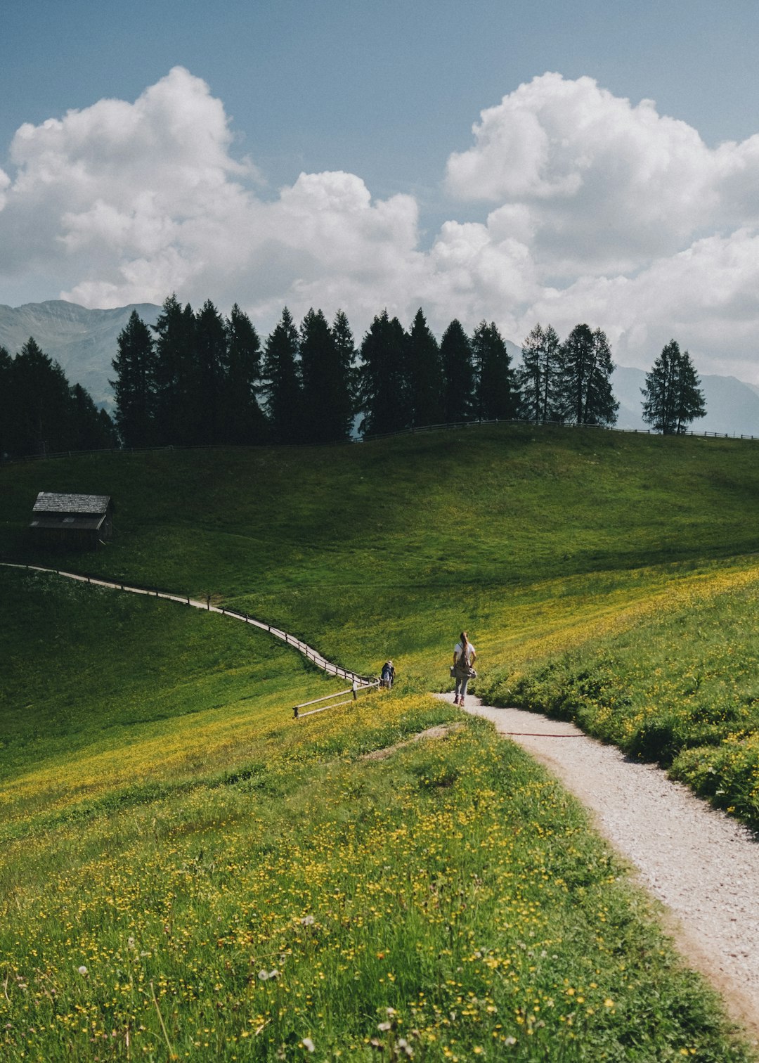 pathway between grass field