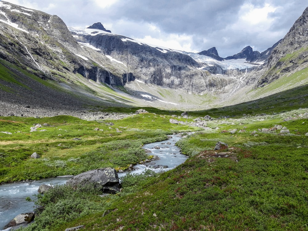 fiume tra l'erba verde