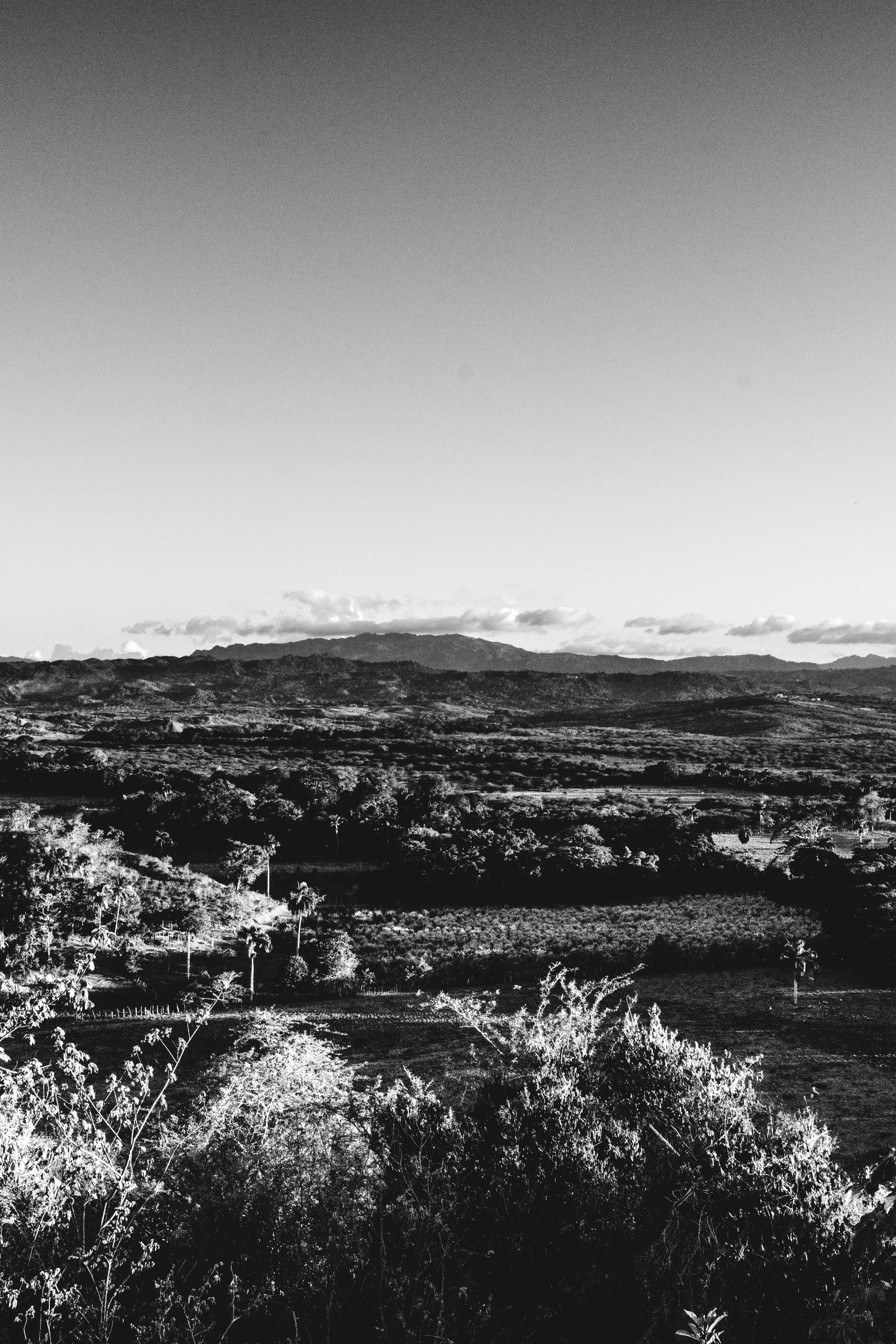 Photo by jacksharp_photography