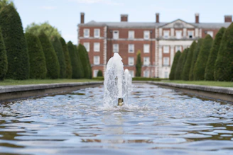 A modern front yard featuring neatly trimmed hedges and a small water fountain centerpiece.