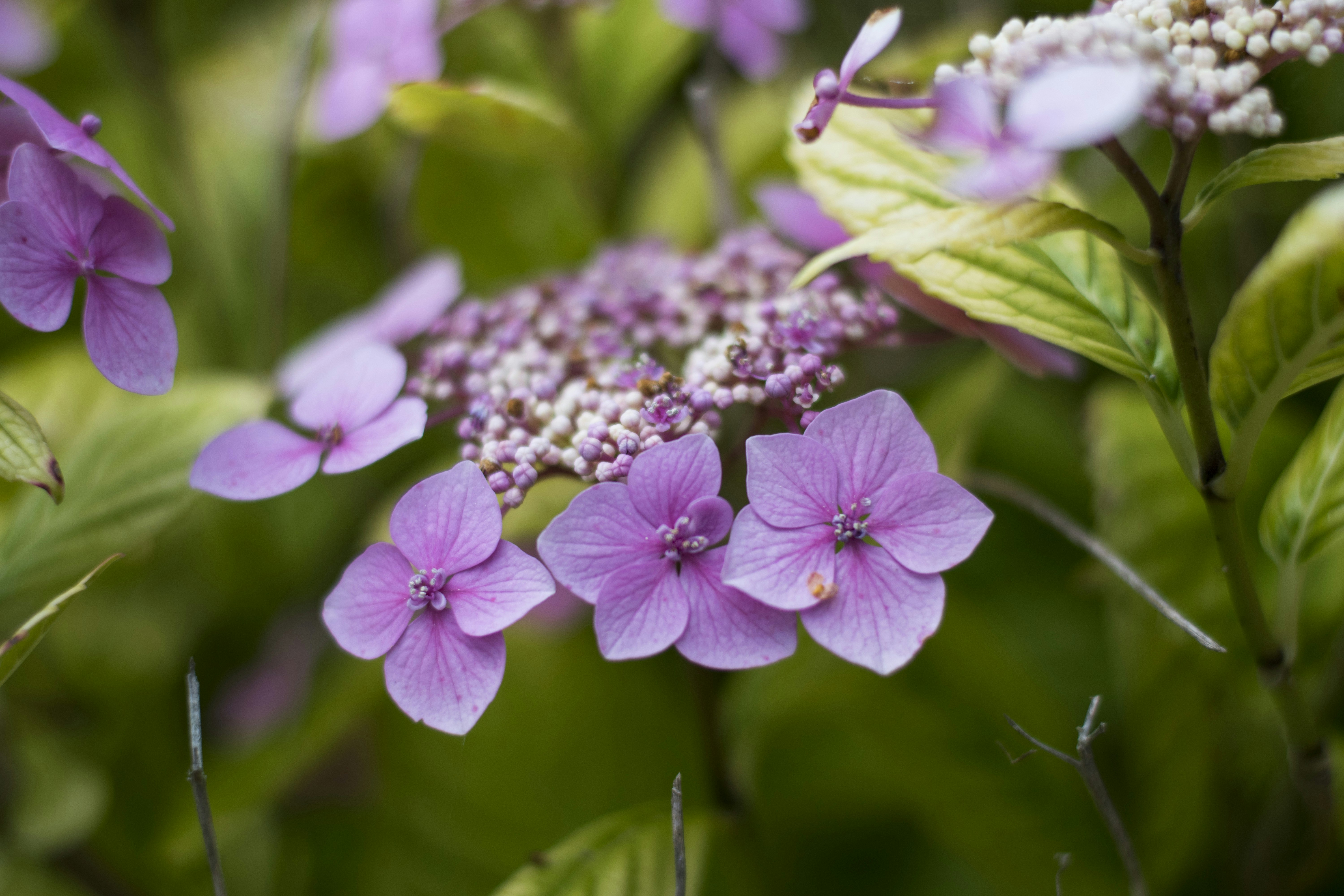 Photo by itsrobcoates