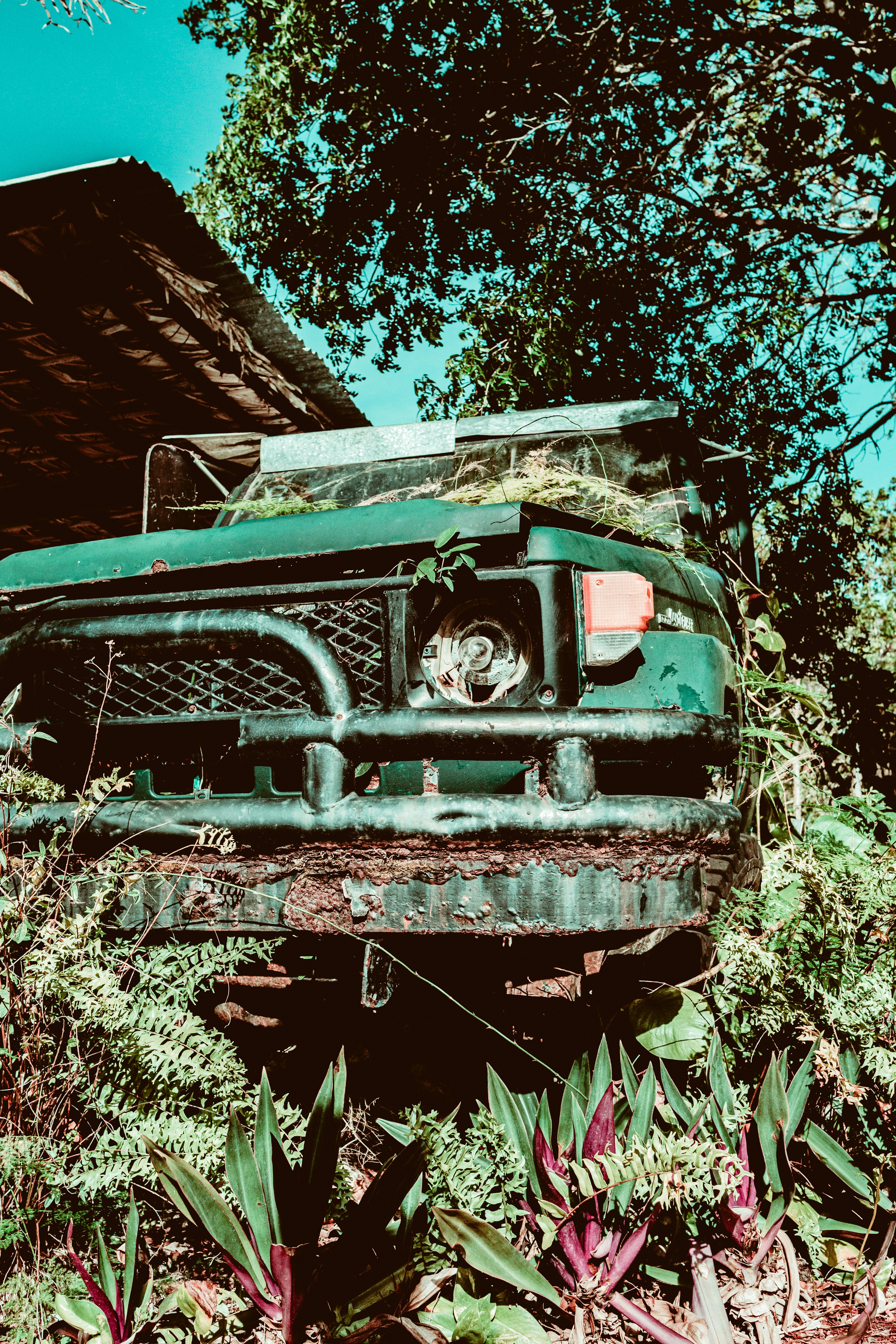 Photo by jacksharp_photography