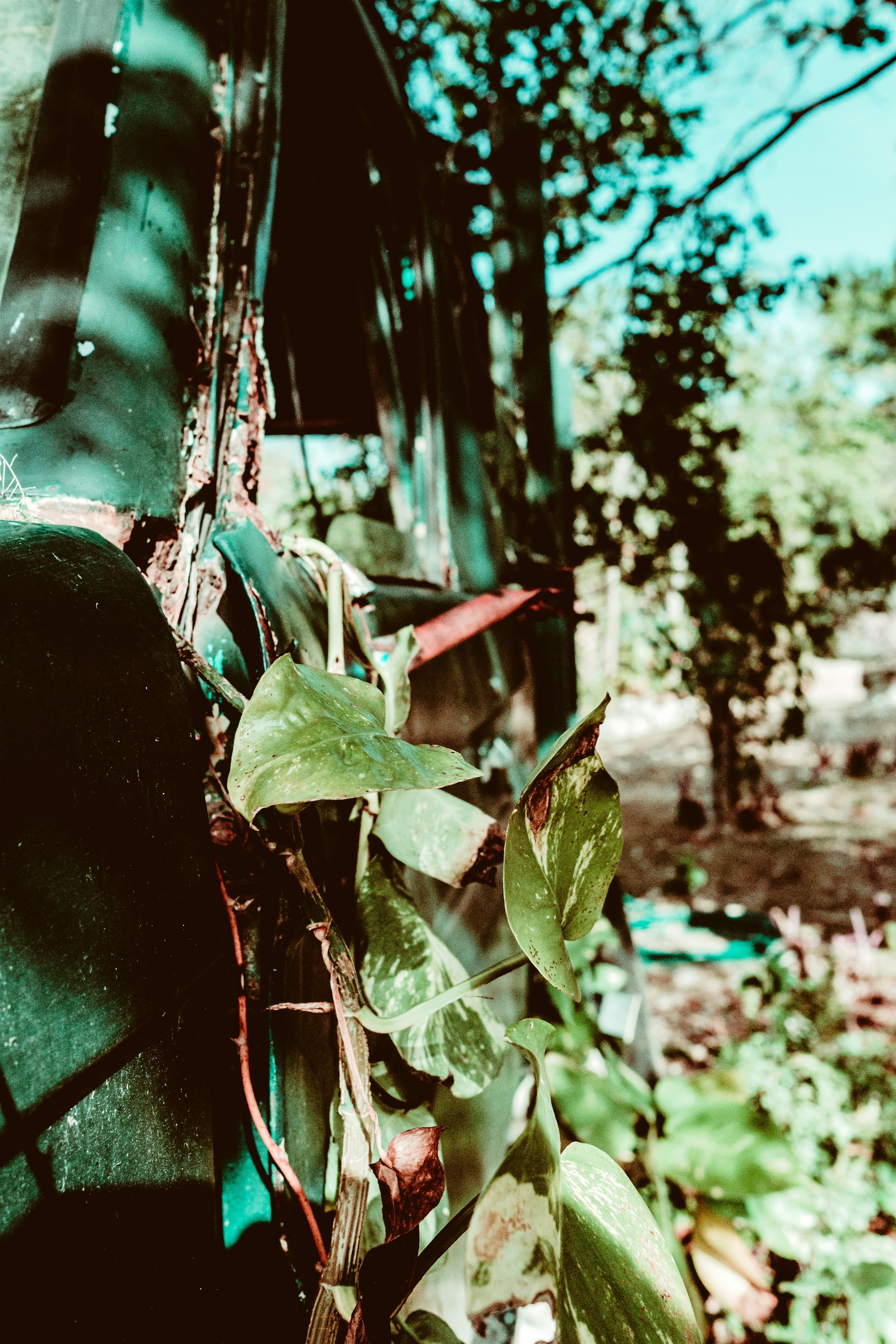 Photo by jacksharp_photography