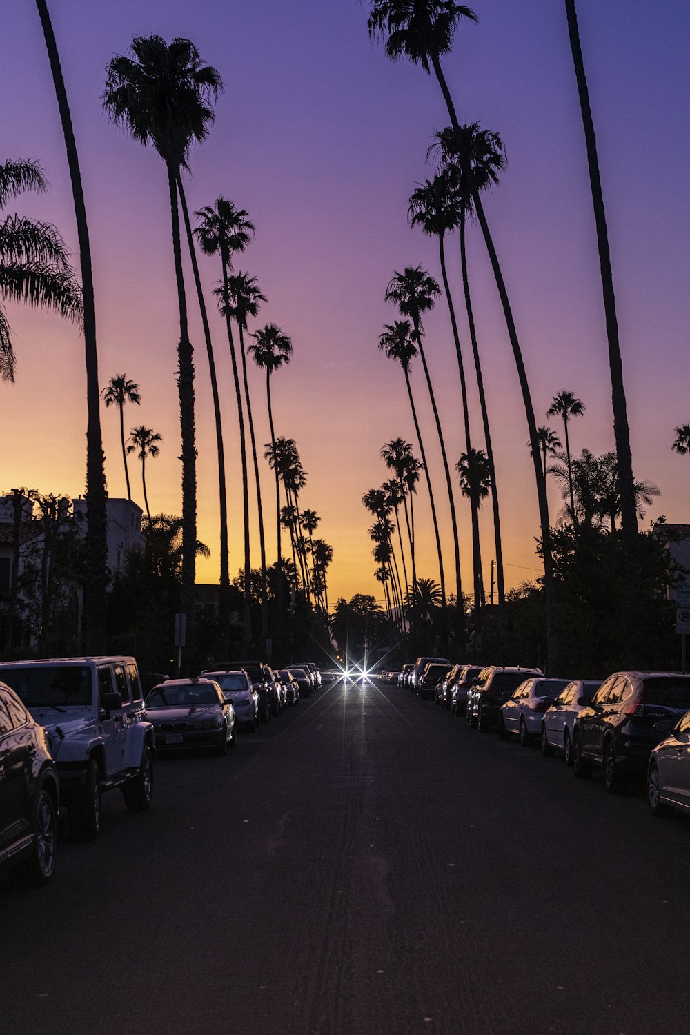 cars parked near road