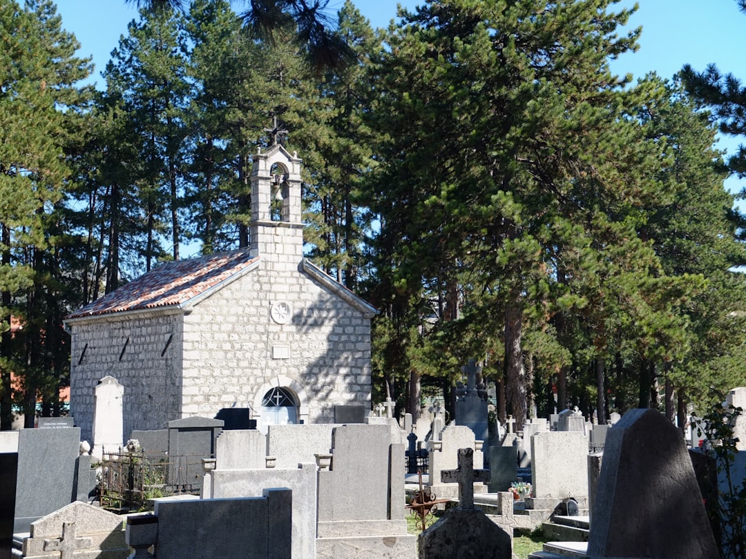 gray concrete cemetery surrounded by green trees