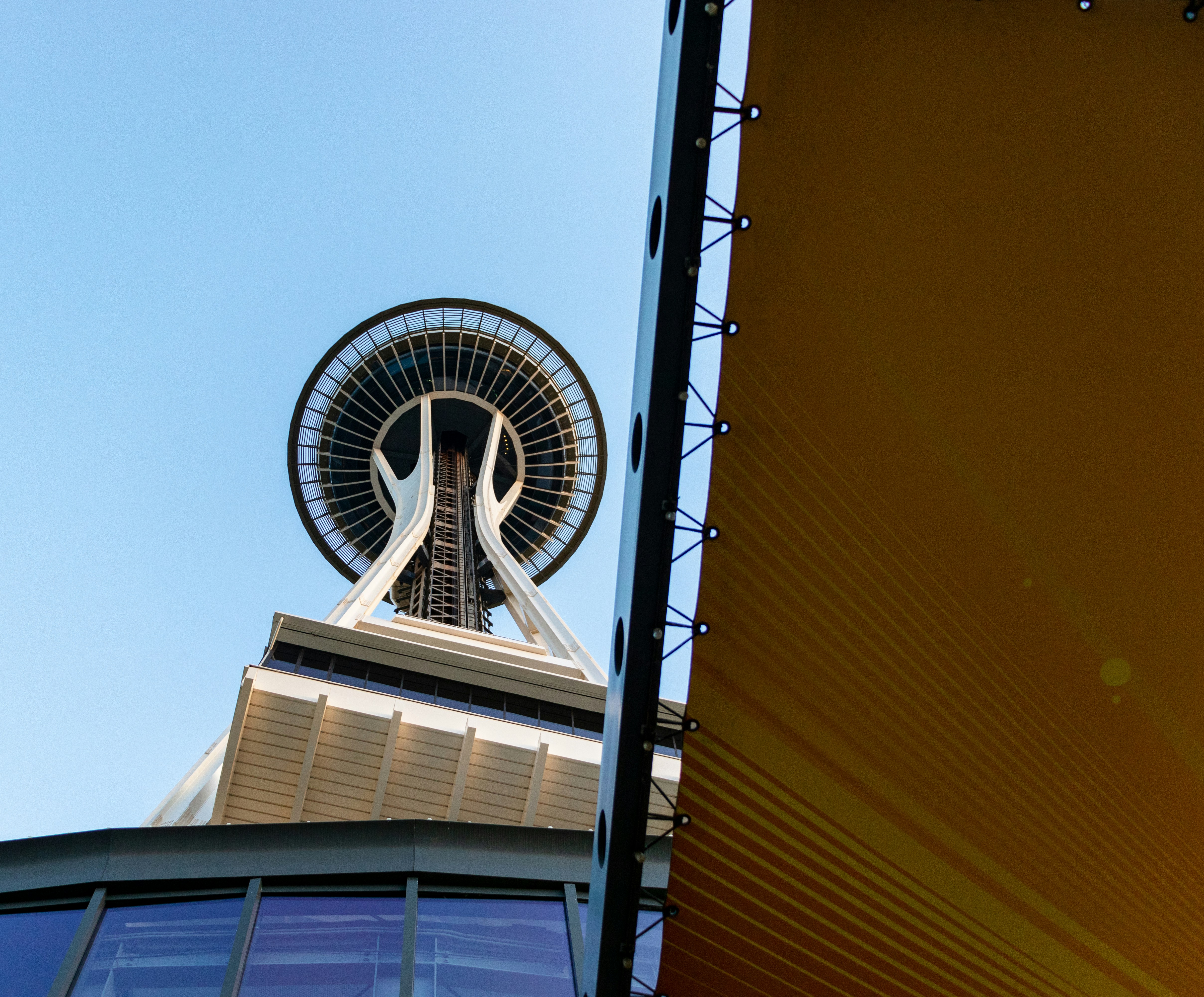 low view photography of building