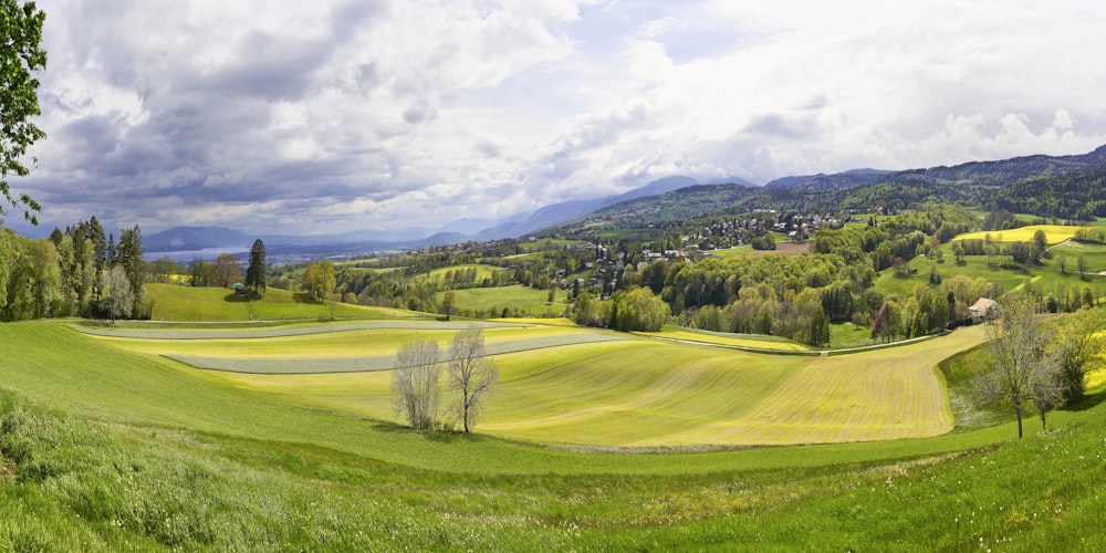 Grüne Bäume unter strahlend blauem Himmel