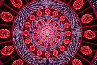 red and blue illustration